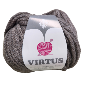 VIRTUS 15