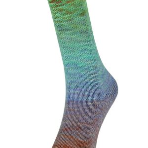WATERCOLOR  SOCKS 201