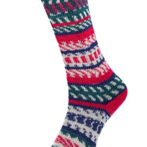 CHRISTMAS SOCKS 5