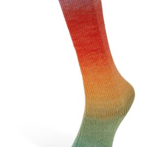 HARMONIOUS SOCKS 1