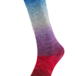 HARMONIOUS SOCKS 13
