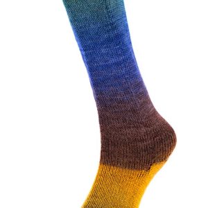 HARMONIOUS SOCKS 14