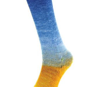 HARMONIOUS SOCKS 15