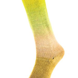 HARMONIOUS SOCKS 16